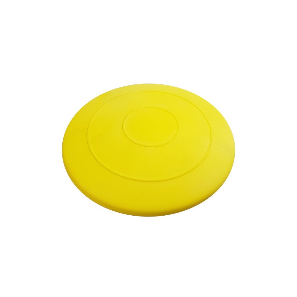 FRISBEE SPUGNA